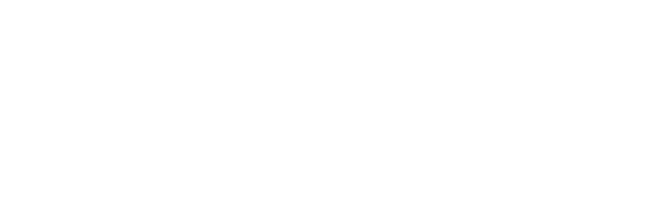 Toral Digital